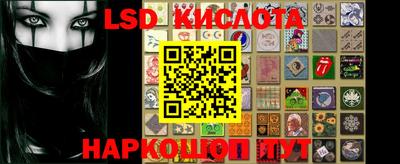 индика Славгород