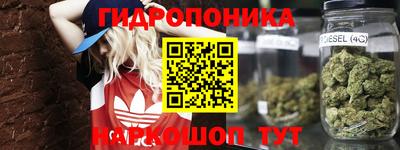 мяу мяу мука Славянск-на-Кубани