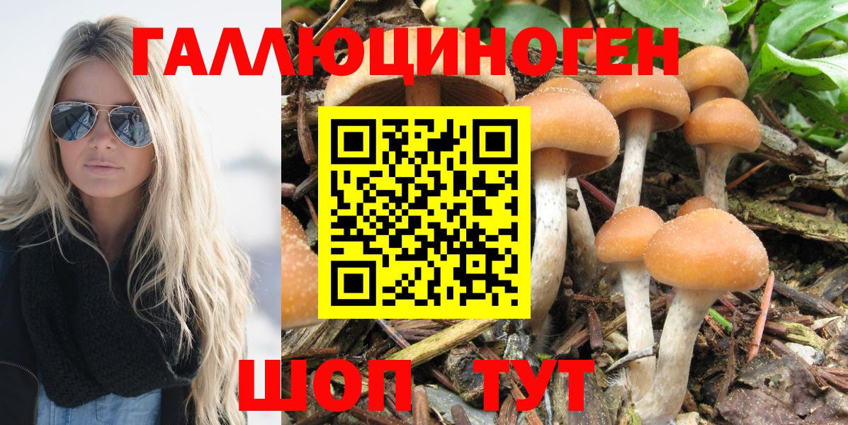 Галлюциногенные грибы Magic Shrooms Нижний Новгород